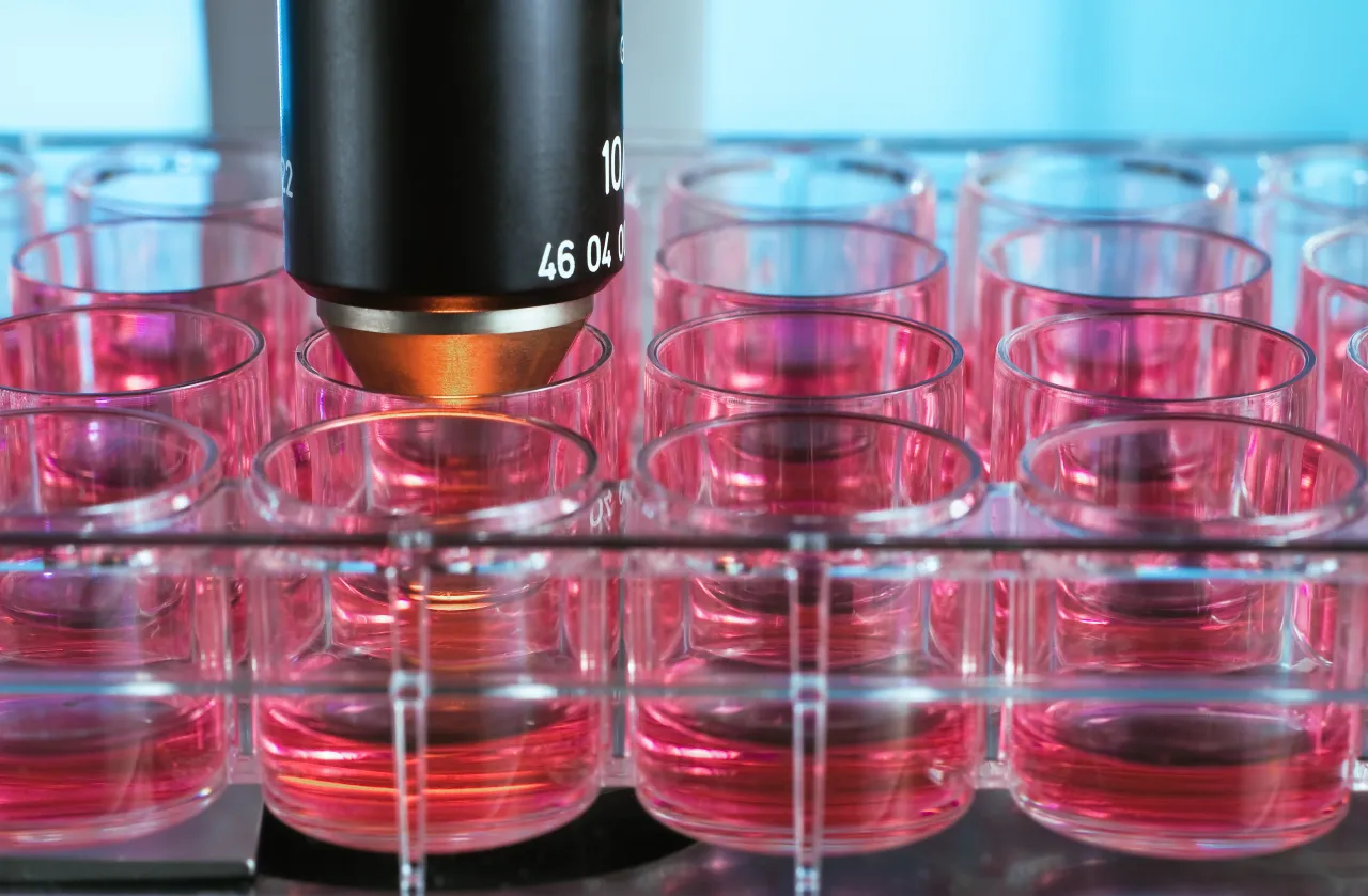 Biotech Dialoog: De beloftes en risico's van kweekvlees